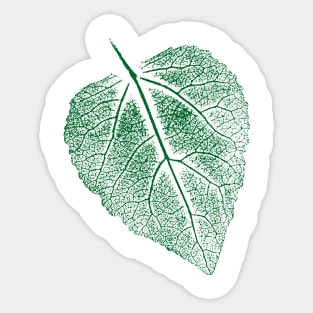 Leaf Linden Tree - Imprint Leaves Design Sticker